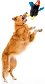 Playology Plush Hen Chew Toy for Large Dogs - Medium, Chicken Scent - Image 3