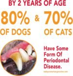 Petrodex Enzymatic Dog Toothpaste, Poultry Flavor, 6.2oz - Image 4