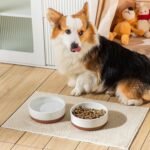 MALACASA Dog Bowls, Ceramic Dog Food and Water Bowls for Medium Size Dogs, 3.5 Cups Capacity Pet Bowl for Medium Dogs (M-3.5 Cups) - Image 7