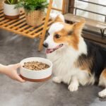 MALACASA Dog Bowls, Ceramic Dog Food and Water Bowls for Medium Size Dogs, 3.5 Cups Capacity Pet Bowl for Medium Dogs (M-3.5 Cups) - Image 8