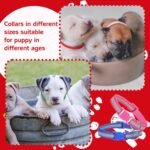 36 Pcs Reflective Puppy Collar and Leash Set Dog Collar and Leash - Image 5