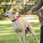 Joytale Martingale Collar for Dogs, Escape Proof No Pull, Hotpink, M - Image 3