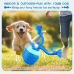 Interactive Dog Toys Ball, Moving Dogs Ball for Boredom - Image 2