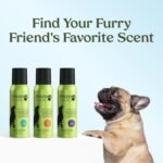 PAWFUME Dog Cologne Spray for Grooming, Blue Ribbon, 1-Pack - Image 7