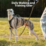 Huntboo Escape Proof Harness, No Slip Dog Harness Escape Proof, Fully Reflective Harness with Handle, Breathable, Durable, Adjustable Vest for Medium Dogs Walking and Training Gear (Black, M) - Image 7
