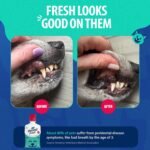 Dental Fresh Water Additive for Dogs & Cats, Flavorless, 17 fl oz - Image 4