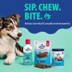 Dental Fresh Water Additive for Dogs & Cats, Flavorless, 17 fl oz - Image 9