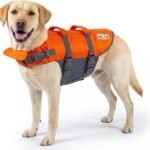 Outward Hound Granby Splash Dog Life Jacket, Life Vest, Orange, Large