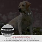Reflective Dog Collar, Puppy Collar with Buckle Adjustable, Black S - Image 4