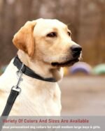 Reflective Dog Collar, Puppy Collar with Buckle Adjustable, Black S - Image 7