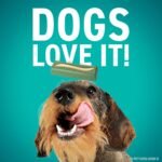 OraVet Dental Hygiene Chews for Dogs - Image 5