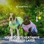 Spark Paws Dog Cooling Vest - Evaporative Summer Cooling, SPF-50 Protection - Image 5