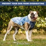 Spark Paws Dog Cooling Vest - Evaporative Summer Cooling, SPF-50 Protection - Image 6