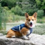 Spark Paws Dog Cooling Vest - Evaporative Summer Cooling, SPF-50 Protection - Image 8