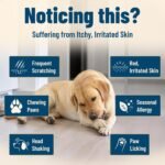 Dog Yeast Balance & Allergy Relief Bundle, Chicken Soft Chews, 400 Count - Image 6