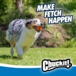 Chuckit! Ultra Rubber Dog Ball, Floating Fetch Toy, Medium 2.5-in, 4-Pack - Image 5