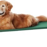 Amazon Basics Cooling Breathable Elevated Dog Bed with Metal Frame for Large Dogs, 51″ x 31″ x 8″, Green, Easy to Assemble