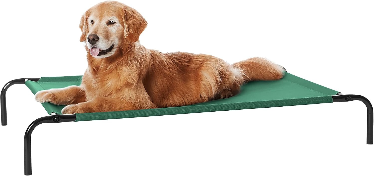 Amazon Basics Cooling Breathable Elevated Dog Bed with Metal Frame for Large Dogs, 51″ x 31″ x 8″, Green, Easy to Assemble Amazon Basics Cooling Breathable Elevated Dog Bed with Metal Frame for Large Dogs, 51″ x 31″ x 8″, Green, Easy to Assemble
