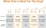 Amazon Basics Cooling Breathable Elevated Dog Bed with Metal Frame for Large Dogs, 51" x 31" x 8", Green, Easy to Assemble - Image 3