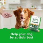 Greenies Supplements Calming Chews for Dogs, Chicken Flavor, 40 Count - Image 3