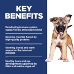 Hill's Science Diet Puppy Large Breed Dry Dog Food - Image 3