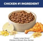 Hill's Science Diet Puppy Large Breed Dry Dog Food - Image 6