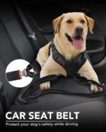 Joytale Tactical Bungee Dog Leash, Shock Absorbing No Pull, Black - Image 4