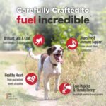 Nulo FreeStyle Senior Grain-Free Dry Dog Food, Trout & Sweet Potato, 6 lb - Image 4