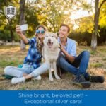 SILVER GRADE Wound Spray for Pets – Colloidal Silver Wound Care for Dogs & Cats – Helps with Skin Irritation, Hot Spots, Rashes, Scratching, Itch, Bites & Burns – Use a Dog Cone – 4 oz - Image 8