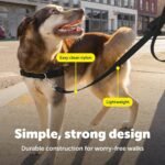 PetSafe Nylon Dog Leash - Strong, Durable, Traditional Style Leash with Easy to Use Bolt Snap - 3/8 in. x 6 ft., Black - Image 4