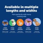 PetSafe Nylon Dog Leash - Strong, Durable, Traditional Style Leash with Easy to Use Bolt Snap - 3/8 in. x 6 ft., Black - Image 5