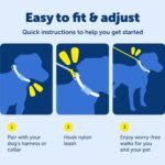 PetSafe Nylon Dog Leash - Strong, Durable, Traditional Style Leash with Easy to Use Bolt Snap - 3/8 in. x 6 ft., Black - Image 6