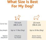 Amazon Basics Hard-Sided Dog and Cat Kennel, Single-Door Travel Pet Carrier with Metal Wire Ventilation, 23.6"L x 15.7"W x 13"H, Beige - Image 3