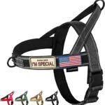Annchwool No Pull Dog Harness with Soft Padded Handle & Front Clip(Black,M)