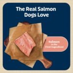 Blue Buffalo Bits Salmon Training Treats, 4 oz - Image 3