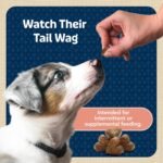Blue Buffalo Bits Salmon Training Treats, 4 oz - Image 9