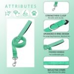 Reflective Dog Collar with Safety Locking Buckle, Adjustable Soft Breathable Nylon Collars for Small, Medium and Large Dogs(Collar+Leash XS Width 5/8" Turquoise) - Image 3