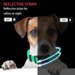 Reflective Dog Collar with Safety Locking Buckle, Adjustable Soft Breathable Nylon Collars for Small, Medium and Large Dogs(Collar+Leash XS Width 5/8" Turquoise) - Image 5