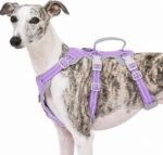 Huntboo Escape Proof Dog Harness, No Pull Reflective Harness with Lift Handle,Adjustable Pet Vest with Front and Back Leash Clips for Small Medium Large Dogs Walking Hiking Training(Lavender Purple,L)