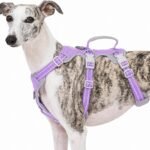 Huntboo Escape Proof Dog Harness, No Pull Reflective Harness with Lift Handle,Adjustable Pet Vest with Front and Back Leash Clips for Small Medium Large Dogs Walking Hiking Training(Lavender Purple,L)