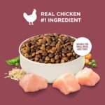 Nutrish Small Breed Dry Dog Food with Chicken, 13 lb. Bag (Rachael Ray) - Image 4