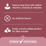 Nutrish Small Breed Dry Dog Food with Chicken, 13 lb. Bag (Rachael Ray) - Image 5