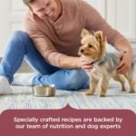 Nutrish Small Breed Dry Dog Food with Chicken, 13 lb. Bag (Rachael Ray) - Image 6