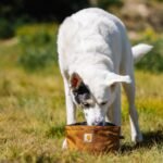 Carhartt Nylon Duck Travel Dog Bowl Carhartt Brown - Image 6