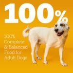 Pedigree Large Breed Adult Dry Dog Food, Roasted Chicken & Vegetable, 16 lb - Image 3