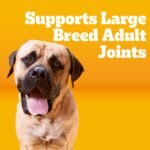 Pedigree Large Breed Adult Dry Dog Food, Roasted Chicken & Vegetable, 16 lb - Image 4