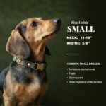 Didog PU Leather Dog Collar for Small Dogs Puppy, Soft Lining, Green S - Image 3