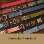 Didog PU Leather Dog Collar for Small Dogs Puppy, Soft Lining, Green S - Image 4