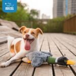 Best Pet Supplies Interactive Squeaky Dog Chew Toy, Ideal Dog Toys for Chewers, Small, Medium & Large Dogs, and Fetch Lovers - Mallard Duck Wing (Gray), Small - Image 5