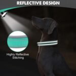 Joytale Reflective Dog Collar for Large Dogs with Wide Padding, Teal - Image 4